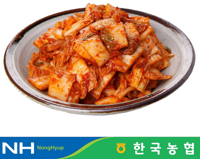 한국농협 마이산김치 국내산 막김치 3kg, 1개