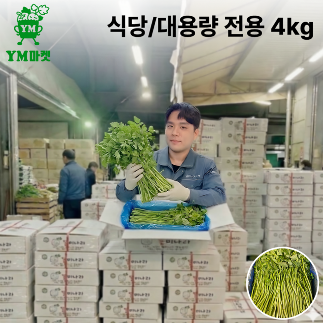 미나리 1박스 4kg 가락시장 경매 도매 식당 대용량, 1개
