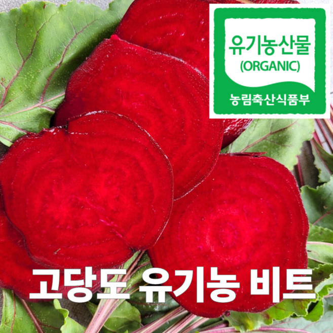 정이가 유기농 고당도 비트 햇비트 레드비트, 1박스, 3kg(유기농)
