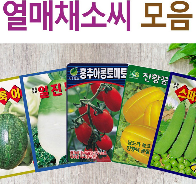 살아있는 씨앗 모음 열매씨앗 여주 우엉 박 토마토 참외 수박 오이 호박 가지 옥수수 깨 콩 팥 수수 밀 배추 양배추 열무 알타리 당근 무 비트 콜라비 고추 파프리카 종자, I-구리지나호박, 1개