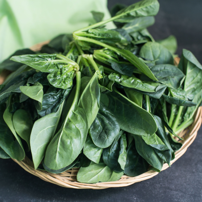 [당일수확] 남해의 보물 포항초시금치 시금치 섬초시금치 섬초 남해시금치 시금치섬초남해 시금치섬초 시금치 1kg 2kg, 1개