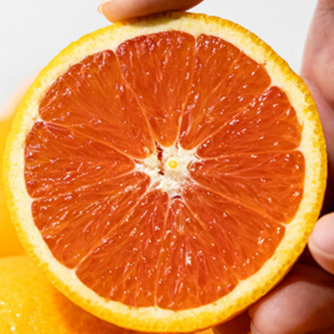 [왕꿀맛집]고당도 카라카라 오렌지 대과 가정용 상급, 5개, 자몽맛카라카라중과