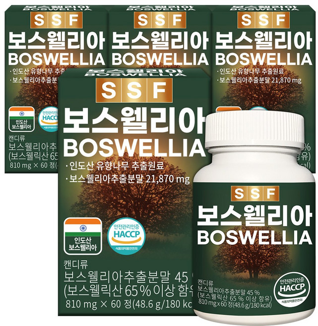 순수식품 보스웰리아 보스웰릭산65% 8개월분(240정), 60정, 4개