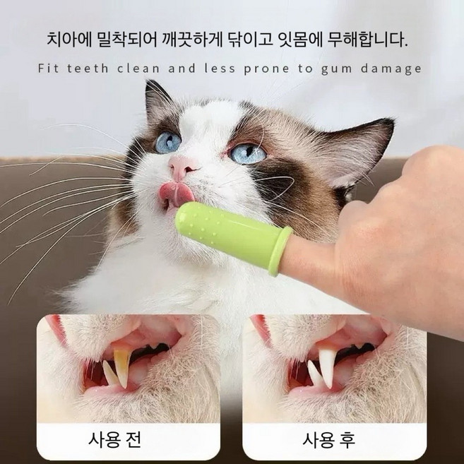 Anitwig 반려동물용 강아지 고양이 손가락 칫솔 세트 TPR재질, 1세트, colorful