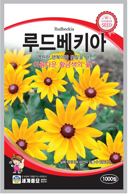 모칸도 루드베키아 씨앗 1000립 세계종묘 꽃씨 꽃씨앗, 1개
