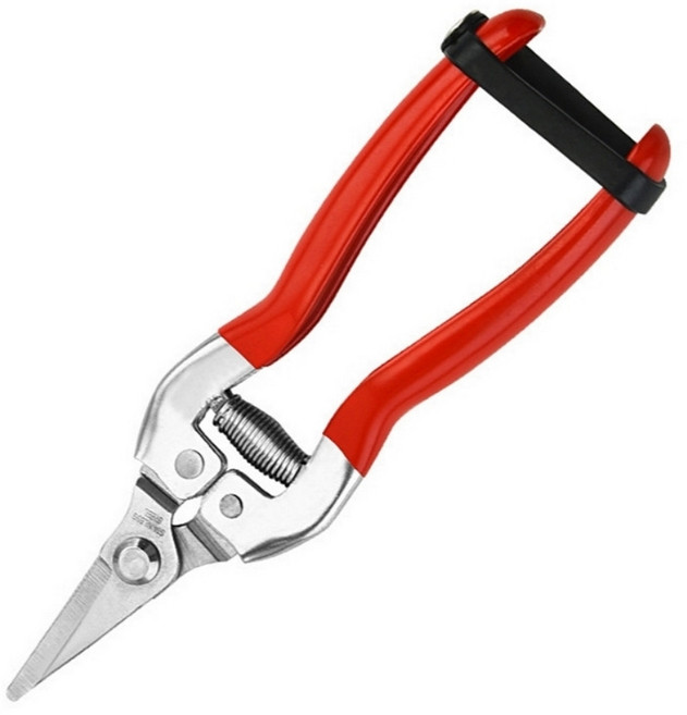 포도 고추 꼭지가위 꽃가위 스텐 원예가위 전지가위, 소형, 1개