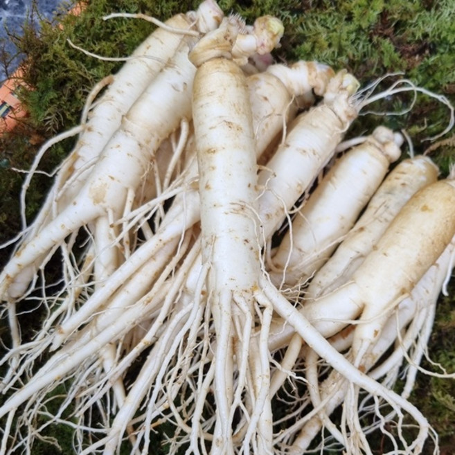 풍기 인삼 6년근 10~13뿌리 세척 진공포장, 1개, 750g