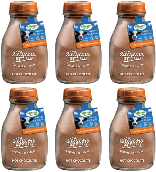 실리 카우 팜스 핫 초콜릿 16.9온스 유리병 (6개 묶음) Sillycow Farms Hot Cocoa Pumpkin Spice Mix Rich Chocolate Delight, 초콜릿 호박 향신료, 1개