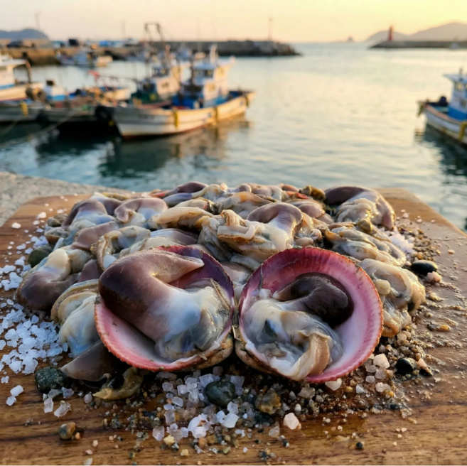 [다정한수산] 당일조업 최고수율 여수 새조개, 1개, 200g