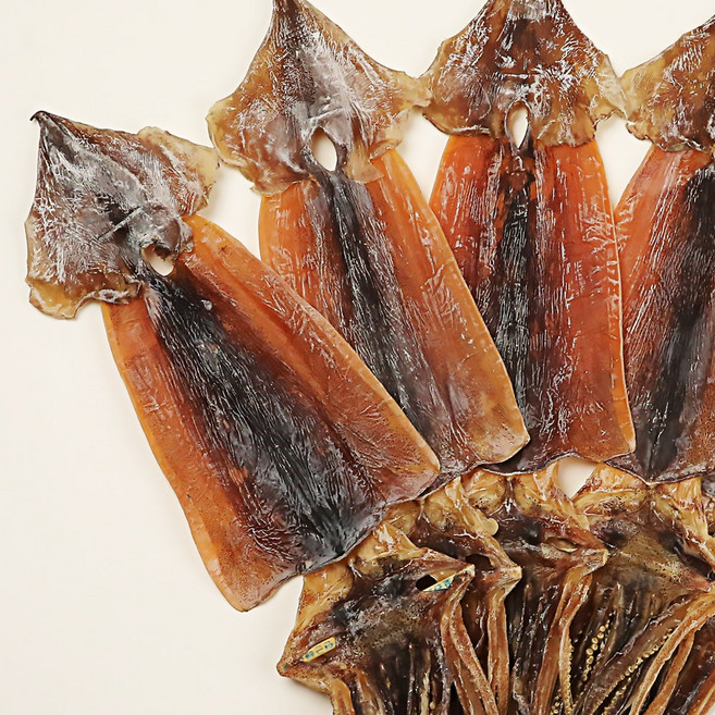 울릉수산 쫄쫄이오징어 배오징어 파품 구룡포 동해 산지직송, 1개, 특대 5미(500g 내외)