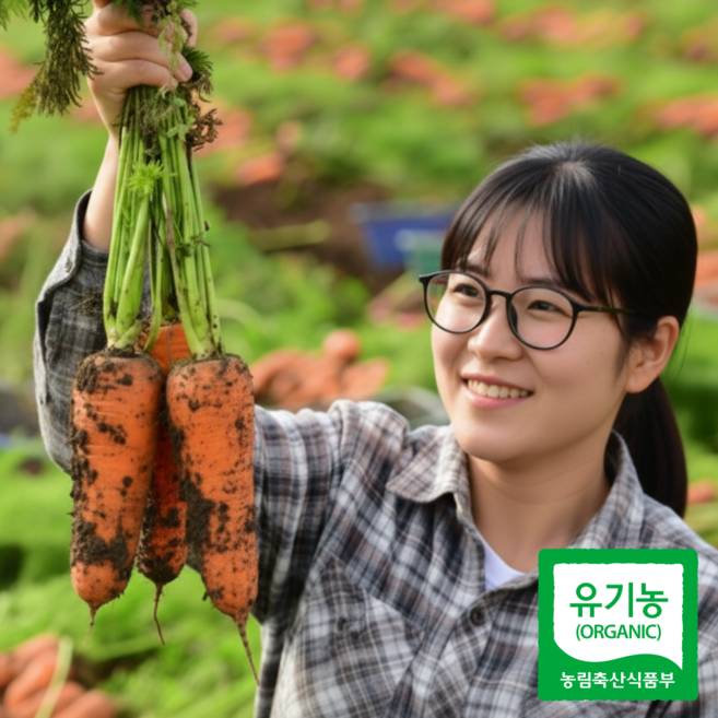 제주 유기농 햇 당근 주스용 흙 당근, 1박스, (중) 90~150g 3kg