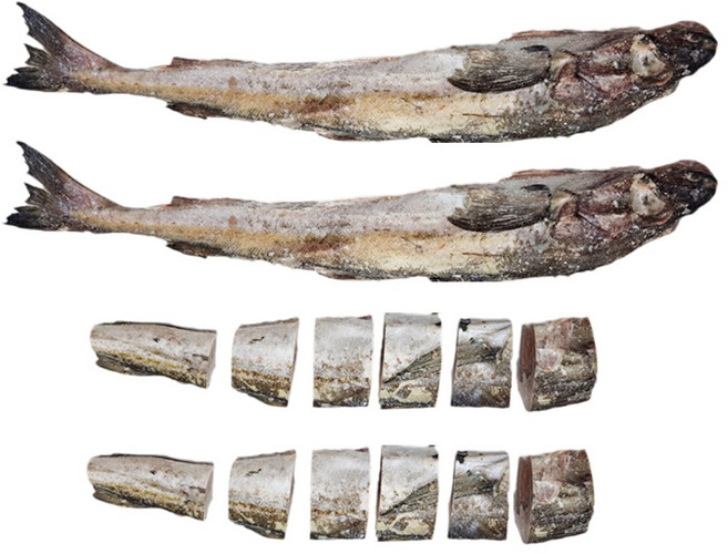 절단 동태 10kg(실중량 8.5kg) 러시아 컷팅 냉동 황태, 1박스, 8.5kg