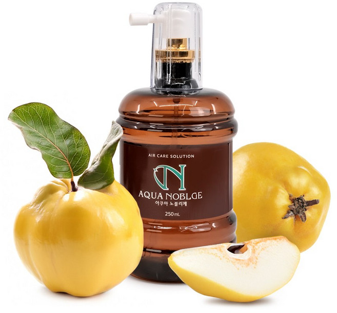 워니네 아쿠아 노블리제 액상방향제 향기가 오래가는 청향제 탈취제 화장실방향제, 모과, 3개, 250ml