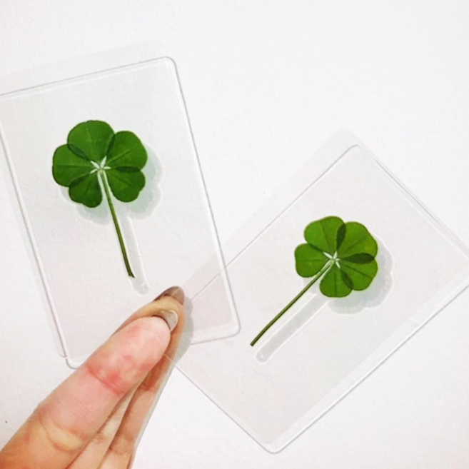 생화 다섯잎클로버 행운 운수대통 응원 소원 합격 코팅 카드 봉투포함, 5개, 다섯잎 클로버