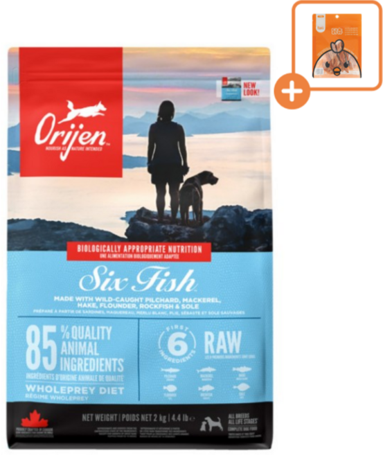 오리젠 강아지 6 피쉬 독 2kg+ 닥터얼라이브 닭츄 랜덤1p 증정, 1개, 2kg, 흰살생선