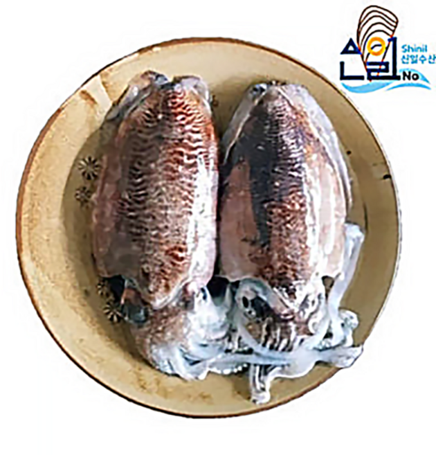 서해안 손질 통 갑오징어 1kg (500g X2팩), 1개, 통갑오징어 대 700g