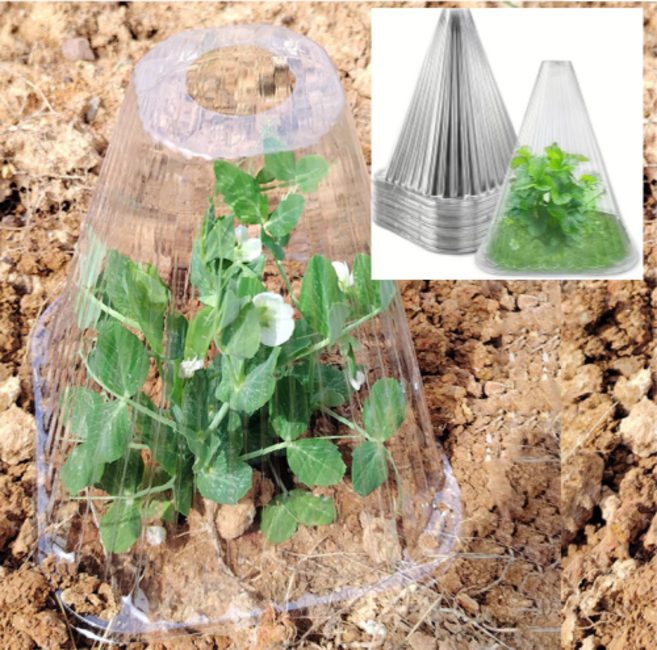 식물 모종 보호 커버 덮개 묘목 보호 덮개, 20개