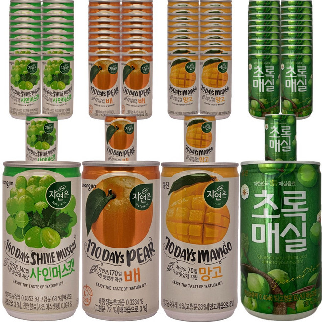 웅진 미니 캔음료 세트 4종 각 20개씩(자연은 머스캣 배 망고 초록매실), 80개, 180ml