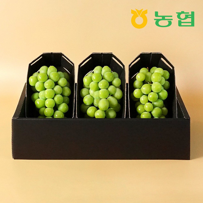 아삭달콤 샤인머스켓 선물세트 명품1호 (2kg/3입), 3입