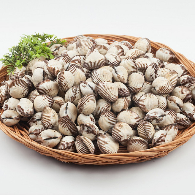 해일수산 새꼬막 벌교 꼬막 1kg, 벌교 새꼬막(소), 1개