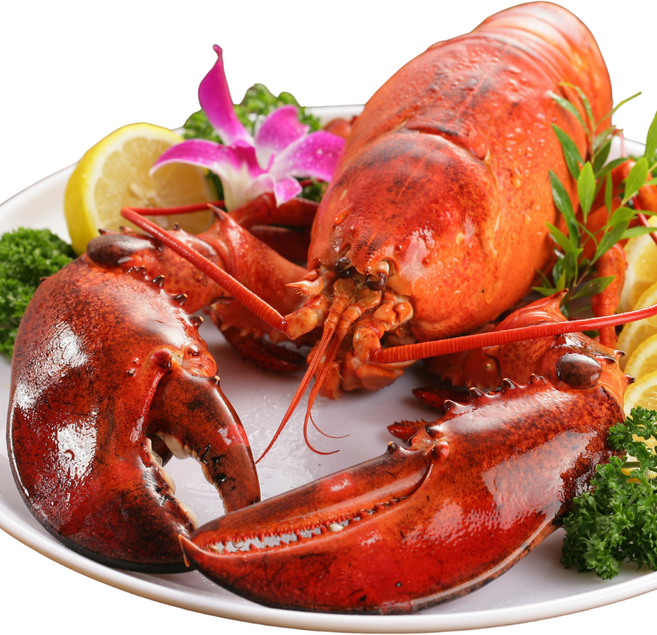 [특대 800g~1kg] 자이언트랍스터 자숙랍스터 홈쇼핑랍스터 냉동랍스터 1미당800g~1kg, 1개, 1미 800~1kg