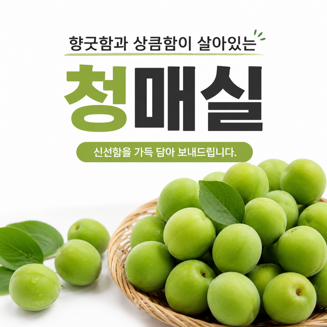 2026년 햇 청매실 5kg 10kg 혼합 특대 왕특 매실청 매실주 장아찌 국내산 하동, 1개, 5kg(왕특)