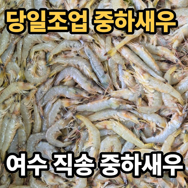 [여수] 당일조업 급냉 중하새우, 1박스, 3kg