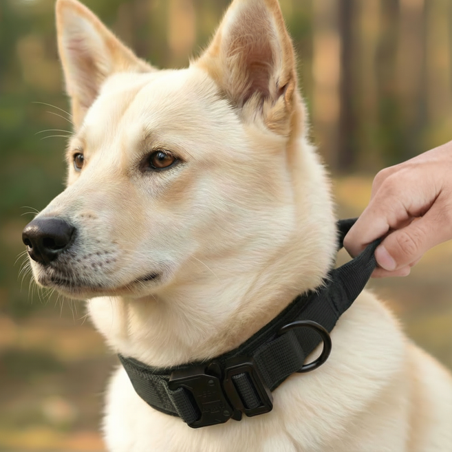 더트롱 핸들 대형견 중형견 버클 목줄, 1개, 블랙