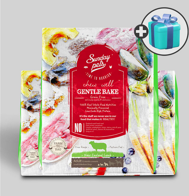 선데이펫 젠틀베이크 오븐베이크 사료 양고기 + 국산 가수분해간식 400g, 6.5kg, 1개, 양