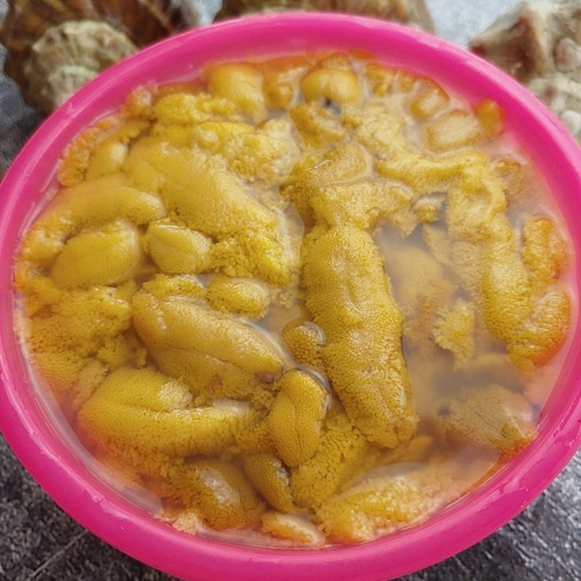 [프리미엄 실패없는 남해 성게알] 국내선 남해 성게알 우니 해녀가 잡는 보라성게알 말똥알 성게 생물, 1개, 프리미엄 목판 성게 500g