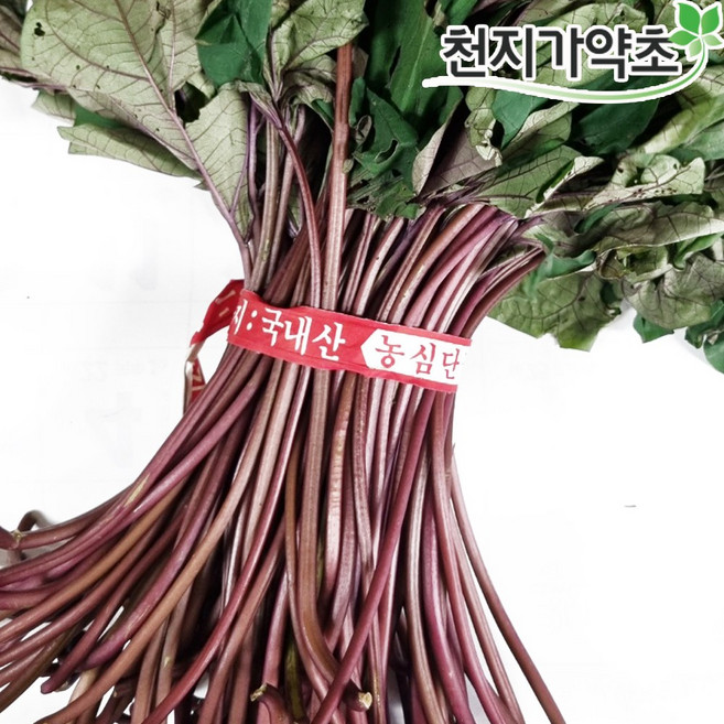 국산 햇 고구마줄기 1kg 고구마순 잎포함, 1개