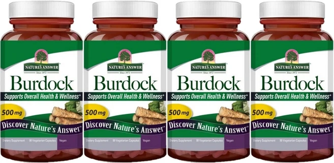 네이처스앤서 우엉 500mg, 90정, 4개 - 쿠팡