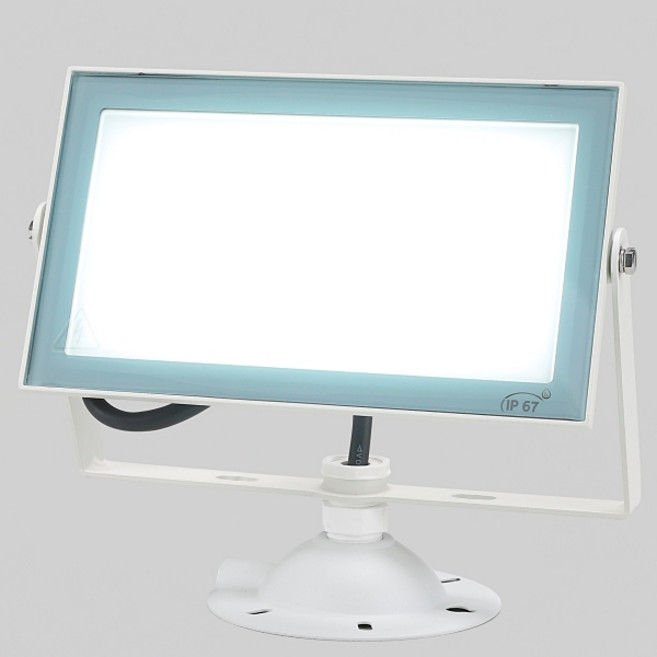 비츠온 LED 투광기 50W 화이트 + 주광색, 1개