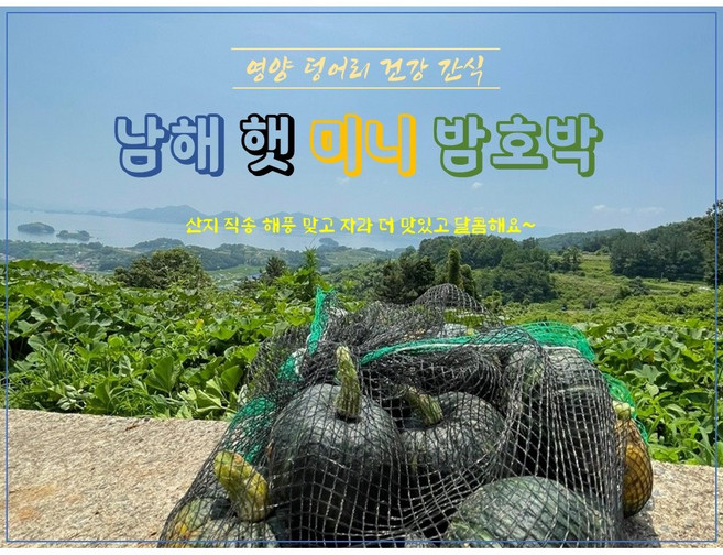 남해 미니밤호박 건강 다이어트 식품 직접 농사지어 산지에서 바로 보내드려요, 1박스, 5kg