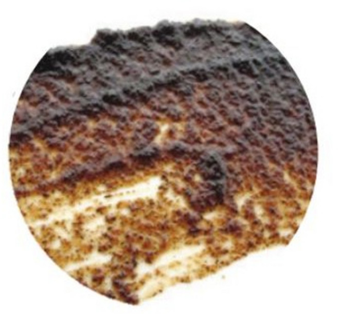 선인 바닐라 페이스트 5kg, 1ea