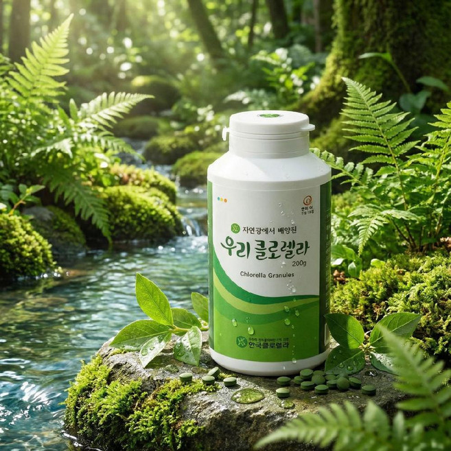 [단독] 60년의 비법 온가족 면역 한 알 우리클로렐라 200G, 1개