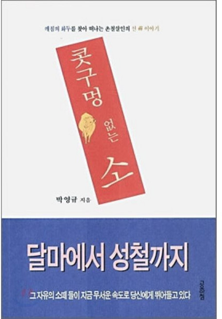 콧구멍 없는 소:깨침의 화두를 찾아 떠나는 촌철살인의 선 이야기, 고요아침