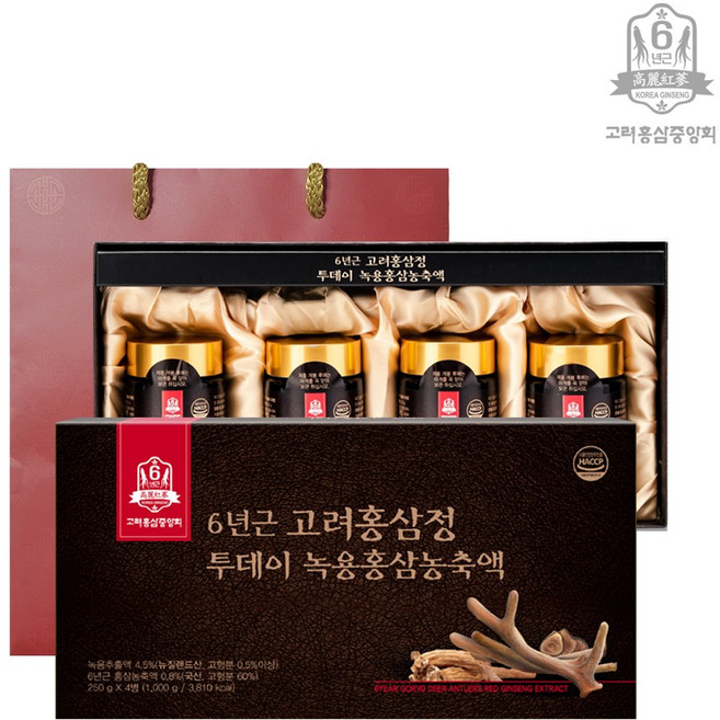 고려홍삼중앙회 6년근 고려홍삼정 투데이 녹용홍삼 농축액 + 쇼핑백, 2세트, 1kg