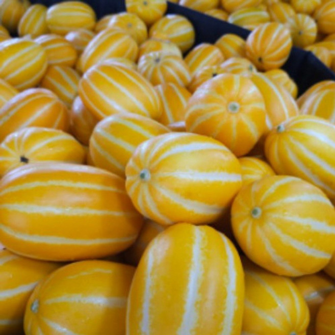 성주 산지직송 고당도 참외 당도선별, 1개, 가정용 5kg