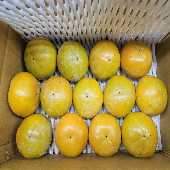 저탄소 창원 단감 2.5kg 정품, 13개