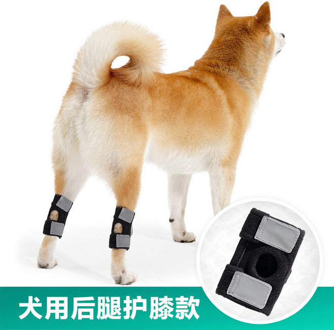 寵物護膝 老齡犬輔助支撐 狗狗後腿保護套 狗護腿, 黑色後腿,L, 1個