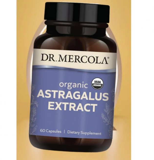 닥터 머콜라 유기농 황기 추출물 30회 분량 건강 보조 식품 면역 지원 비유전자 변형 USDA 인증 미국내수용, 1개, 60정 - 쿠팡
