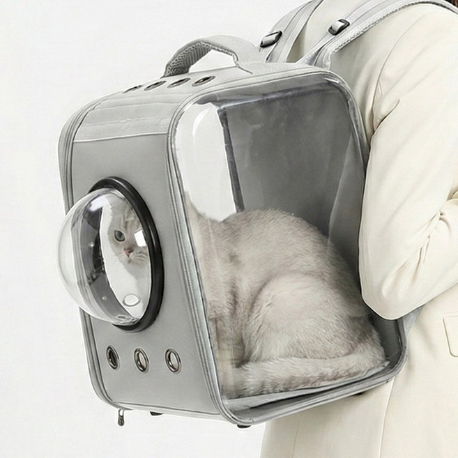 푸키 강아지 3면 투명 백팩 고양이 이동장 산책가방 앞가방, 1개, 그레이