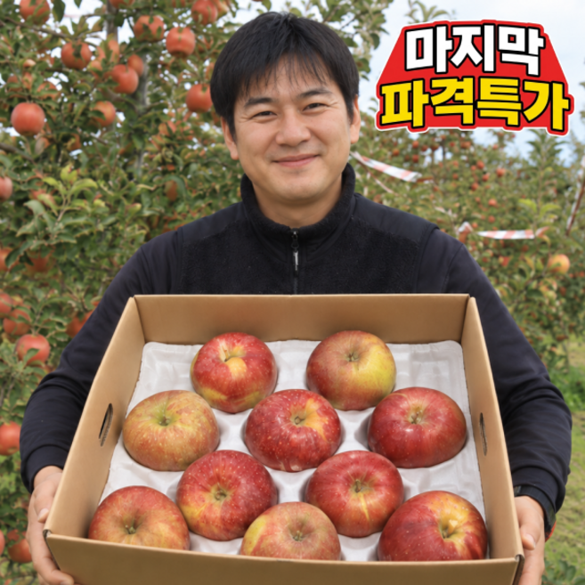 [50박스한정특가] 고당도 문경 감홍사과 중대과, 1박스, 5kg