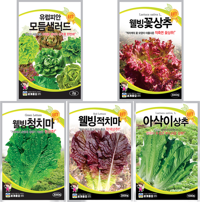 사계절 상추 씨앗 4종 아삭이 청치마 적치마 꽃상추 씨앗 + 유럽피안 모듬 샐러드 씨앗 총 5종 각 1봉씩, 1개
