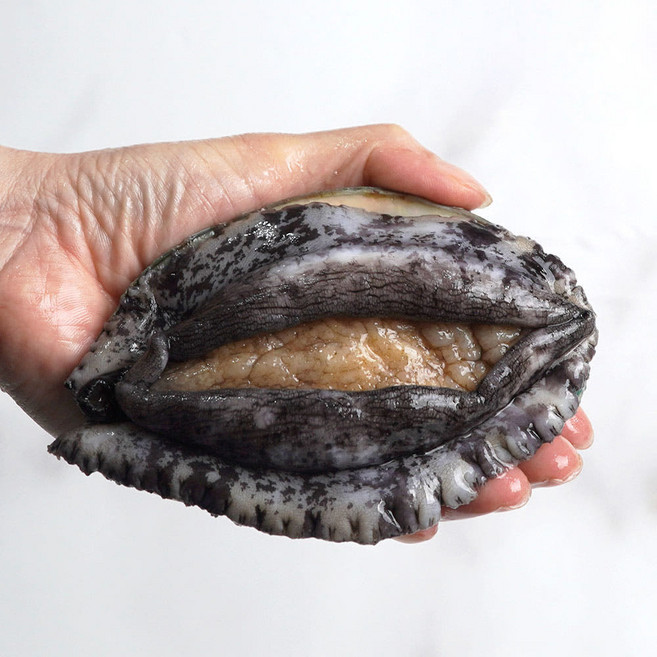 완도사랑 싱싱할 활 전복 1kg 완도산 직거래 산지직송 산소포장, 1개, (대전복) 10-12미 (산소포장), 1kg