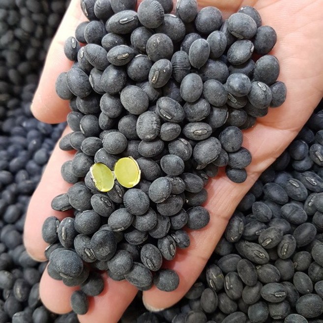 [25년산] 검정콩청자5호 청자5호 국산콩 청자콩 5kg, 1개