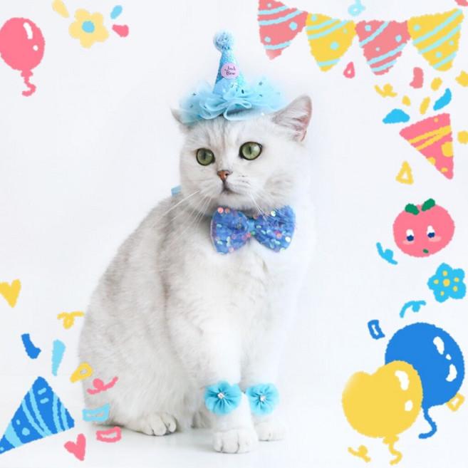 生日派對套裝 蕾絲亮片生日帽 蝴蝶結領結 寵物配飾, 藍色三件套, 1個
