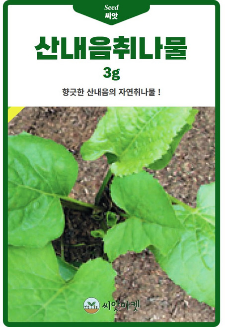 산내음 취나물 씨앗 3g 향긋한 산내음의 취나물씨 종자, 2개