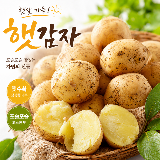 [현재수확중] 26년도수확 신선 햇감자, 1개, 2026년 햇감자 소-중사이즈 1kg (80g 이하)